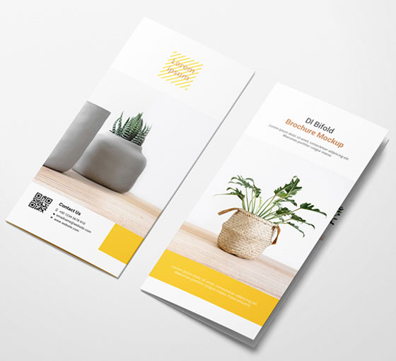 Brochures